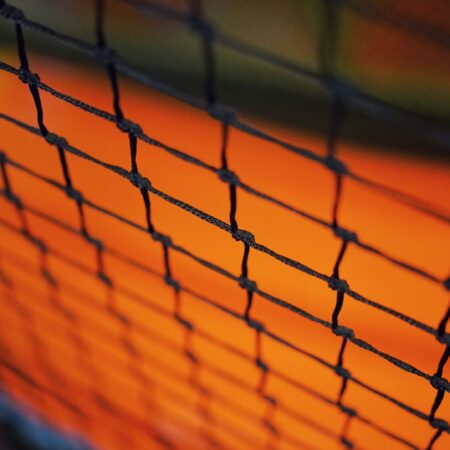 Volleyball-Wetten im Vergleich zu anderen Sportarten