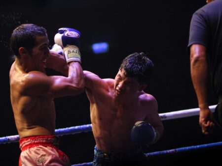 Virtuelle Boxwetten und eSports im Boxen