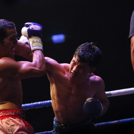 Virtuelle Boxwetten und eSports im Boxen